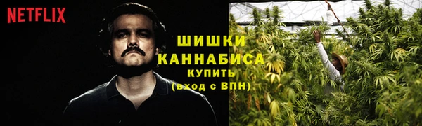 тгк Богородицк