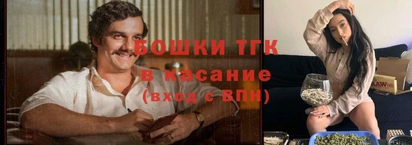 твердый Бородино