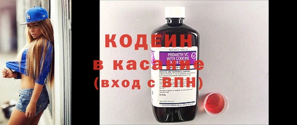 твердый Бородино