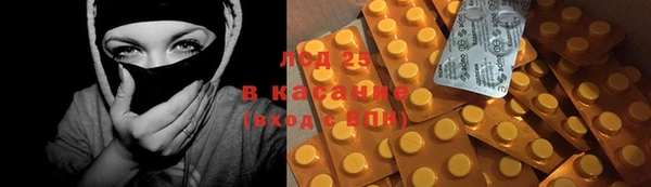 твердый Бородино