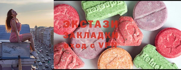 твердый Бородино