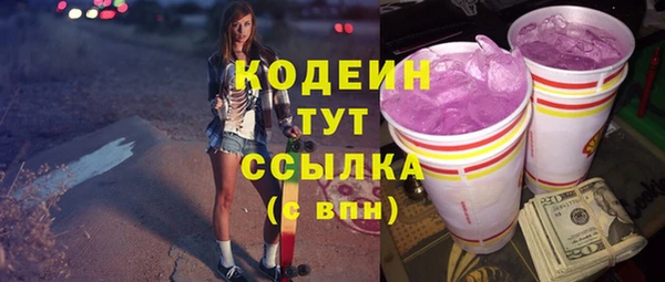 твердый Бородино